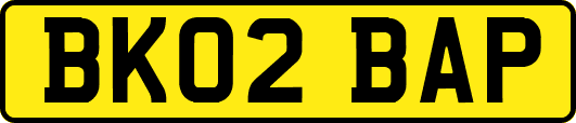 BK02BAP
