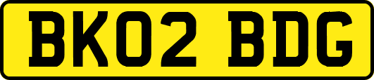 BK02BDG