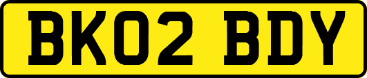 BK02BDY