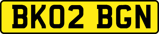 BK02BGN