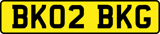 BK02BKG