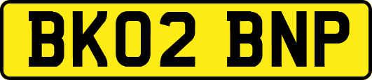 BK02BNP