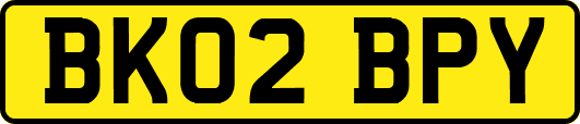 BK02BPY