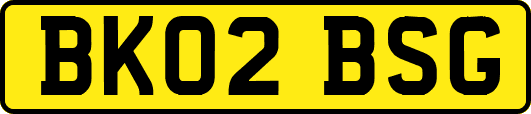 BK02BSG