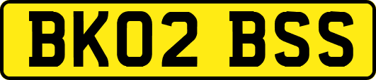 BK02BSS