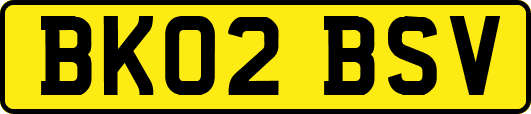 BK02BSV
