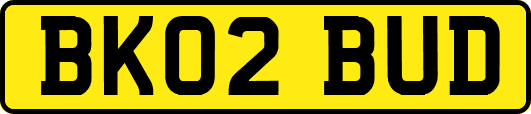 BK02BUD