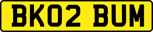 BK02BUM