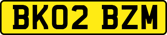 BK02BZM