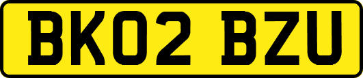 BK02BZU