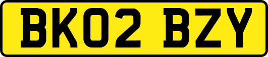 BK02BZY