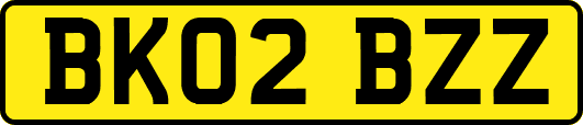 BK02BZZ