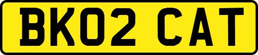 BK02CAT