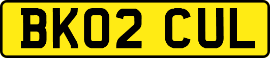 BK02CUL