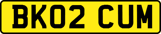 BK02CUM