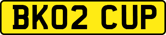 BK02CUP