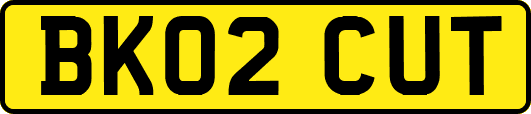 BK02CUT