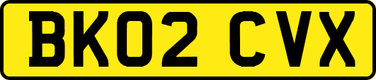 BK02CVX