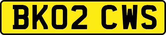 BK02CWS