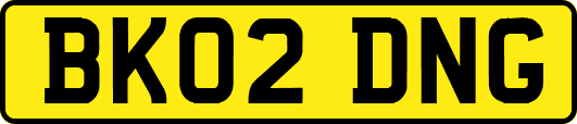 BK02DNG