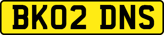 BK02DNS
