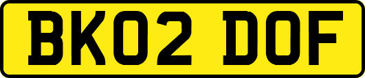 BK02DOF