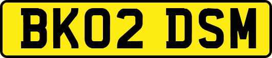 BK02DSM