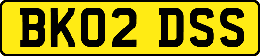BK02DSS
