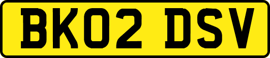 BK02DSV