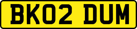 BK02DUM