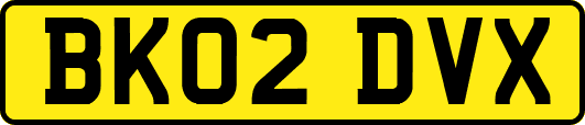 BK02DVX