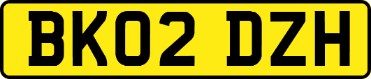 BK02DZH