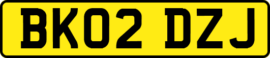 BK02DZJ