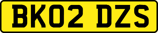 BK02DZS