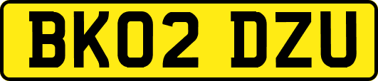 BK02DZU