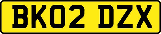 BK02DZX