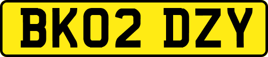 BK02DZY