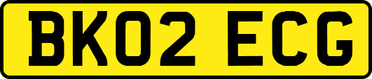BK02ECG