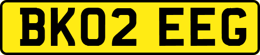 BK02EEG