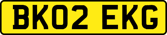 BK02EKG