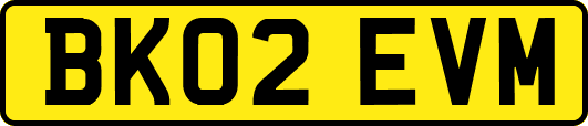 BK02EVM