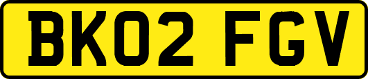 BK02FGV
