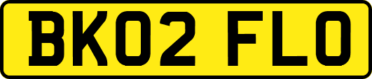 BK02FLO
