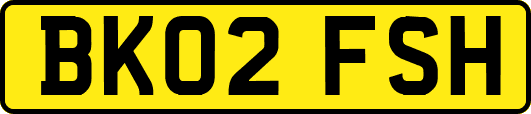 BK02FSH