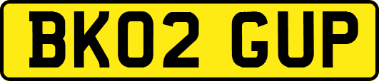 BK02GUP