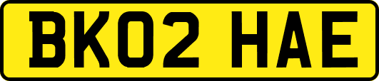 BK02HAE