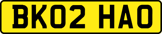 BK02HAO