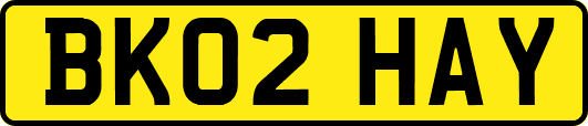 BK02HAY