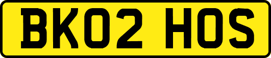 BK02HOS