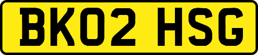 BK02HSG